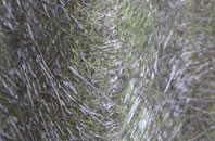 Stratton Audley fibreglass roof work